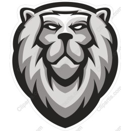 Majestic Lion Head