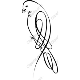Elegant Bird
