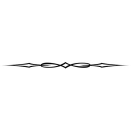 Elegant Decorative Border