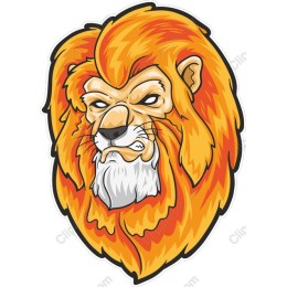Fierce Lion Head
