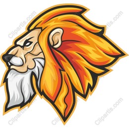Vibrant Lion Head