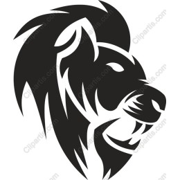 Majestic Lion Head