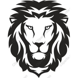 Majestic Lion Head