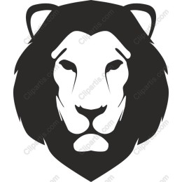 Majestic Lion Head