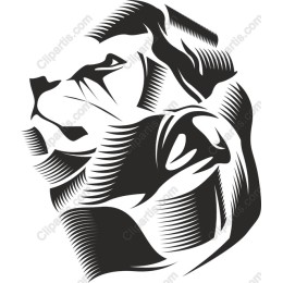 Majestic Lion Head
