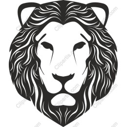 Majestic Lion Head