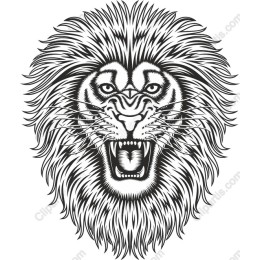 Fierce Lion Head