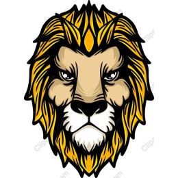 Majestic Lion Head
