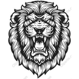 Majestic Lion Head