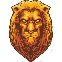 Majestic Lion Head