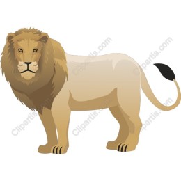 Majestic Lion