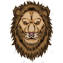Majestic Lion Head