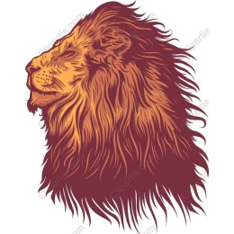 Majestic Lion