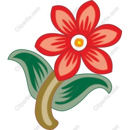 Vibrant Red Flower