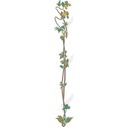 Botanical Vine Graphic
