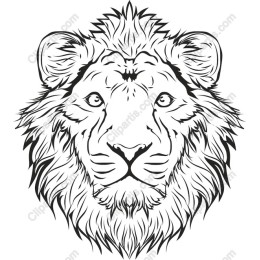Majestic Lion Head