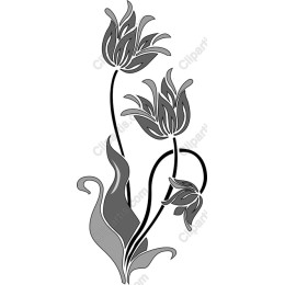 Elegant Tulip