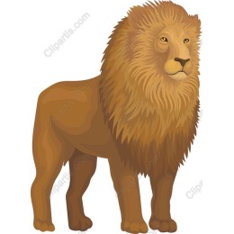 Majestic Lion