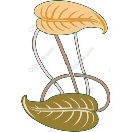 Elegant Leaf