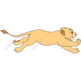 Playful Lion Cub