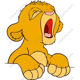 Yawning Lion Cub