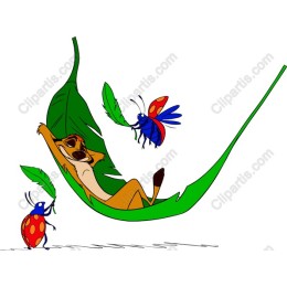 Joyful Leaf Hammock Adventure