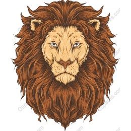 Majestic Lion Head