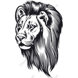 Majestic Lion Head