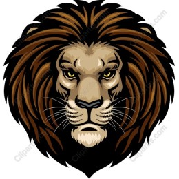 Majestic Lion Face