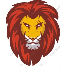 Majestic Lion Head
