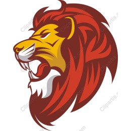 Majestic Lion Head