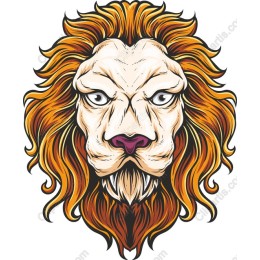 Majestic Lion Head