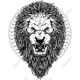 Fierce Roaring Lion