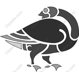 Graceful Bird