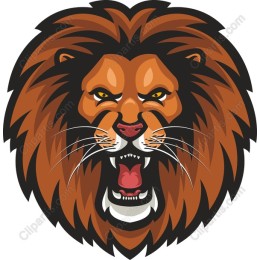 Majestic Lion Head