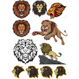 Lion Bundle: Majestic