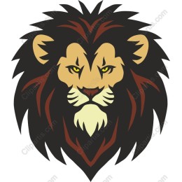 Majestic Lion Head