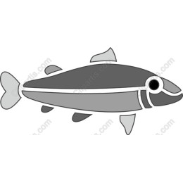 Sleek Fish