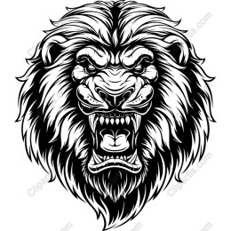 Fierce Lion Head