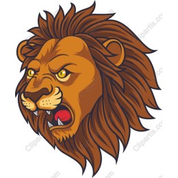 Fierce Roaring Lion Head