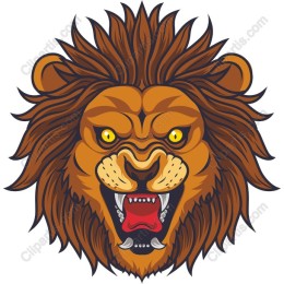 Fierce Lion Head