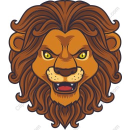 Majestic Lion Head