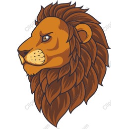 Majestic Lion