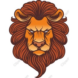 Majestic Lion Head