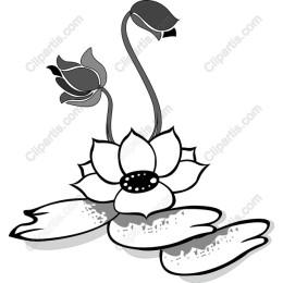 Lotus Flower - Black and White