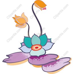 Serene Lotus Flower