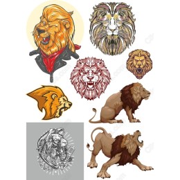 Lion Set - Majestic