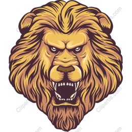 Majestic Lion Head
