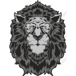 Majestic Lion Head