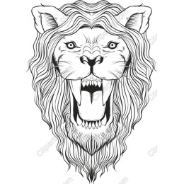 Majestic Lion Head